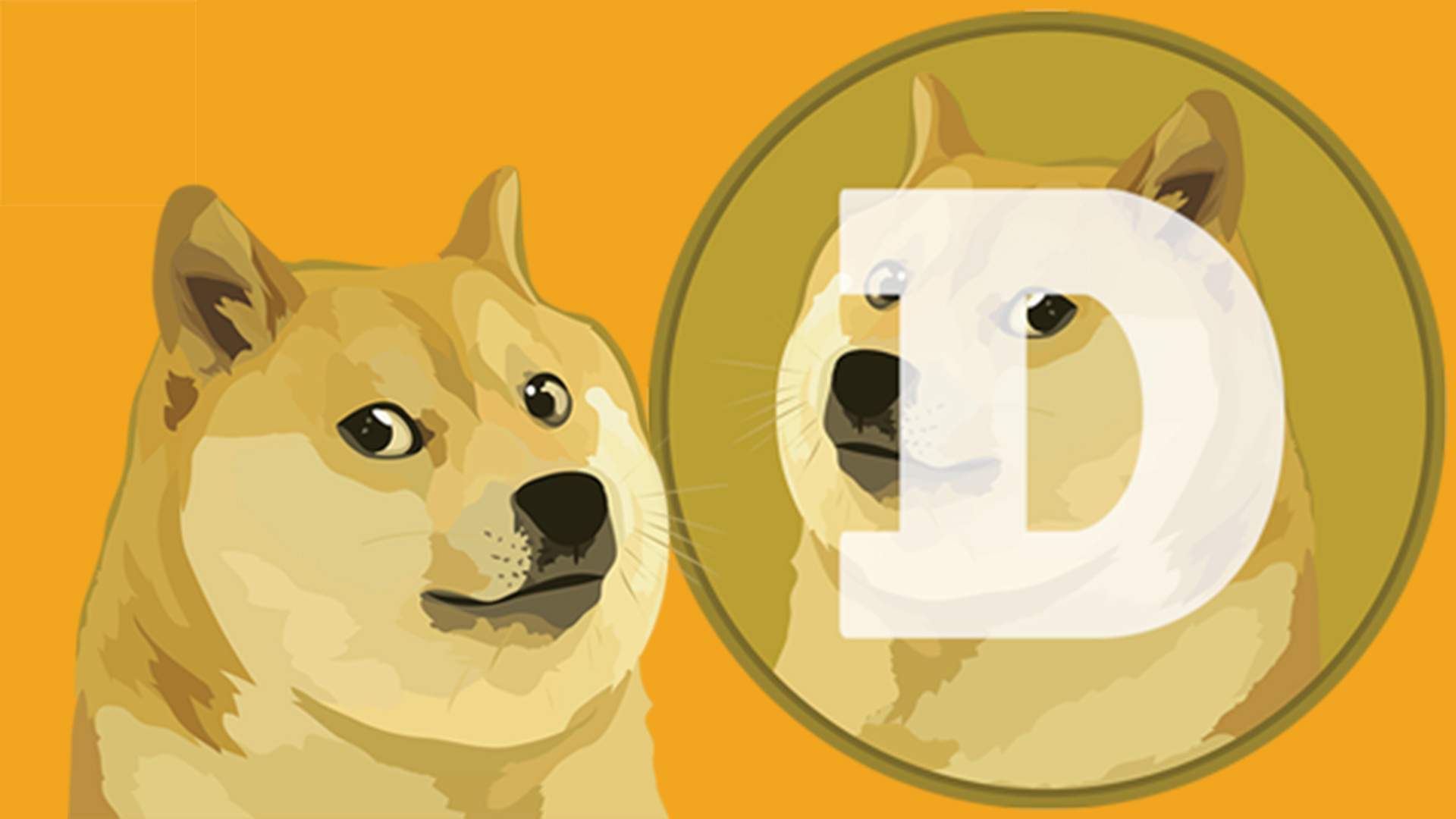 Dogecoin the internet's favorite cryptocurrency